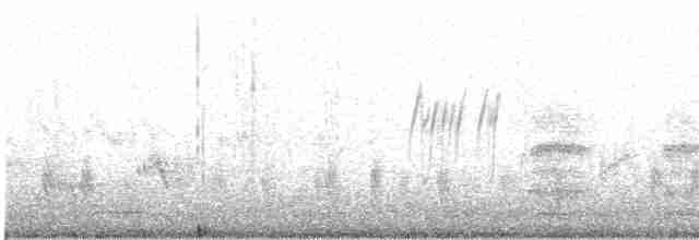 Graumennigvogel - ML619119520