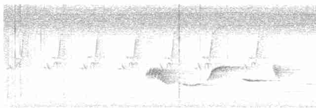 Turuncu Başlı Ardıç - ML619120863