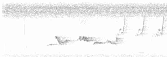 Turuncu Başlı Ardıç - ML619120866