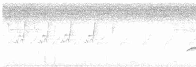 Turuncu Başlı Ardıç - ML619120868
