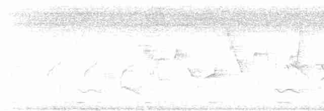 Зозуля білогорла - ML619120960