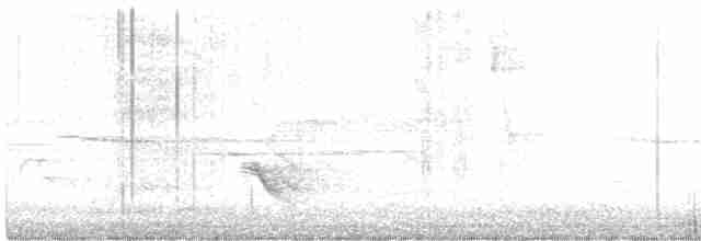 Дрізд-короткодзьоб бурий - ML619120997