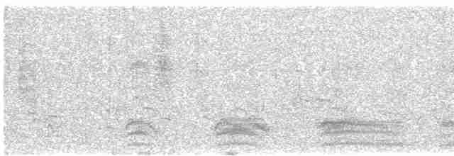 konipas luční (ssp. flava) - ML619121956