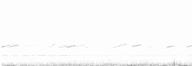 Büyük Çil Yelvesi - ML619122423