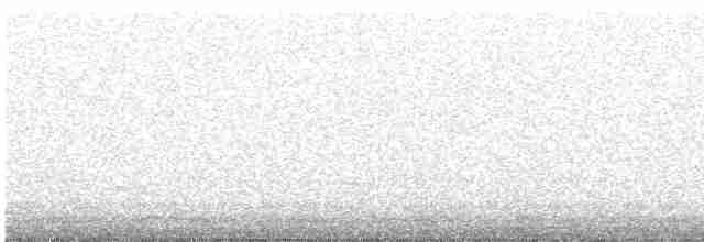 Дрізд-короткодзьоб бурий - ML619122744
