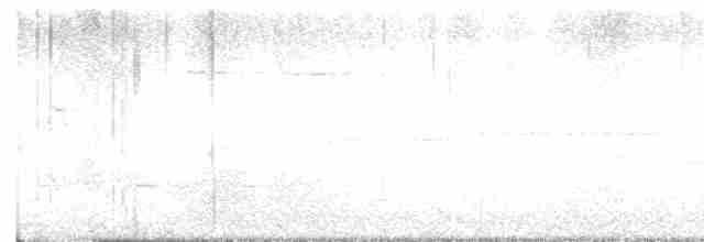 Дрізд-короткодзьоб Cвенсона - ML619122777