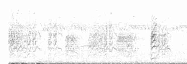 Южноамериканская поганка - ML619122852