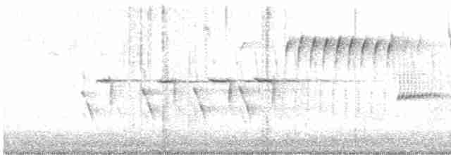 גיבתונית רוננת - ML619123376