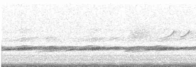 Einsiedelwasserläufer - ML619123451