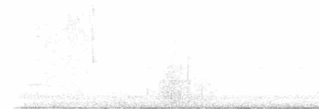 Mavi Enseli Klorofonya - ML619123455