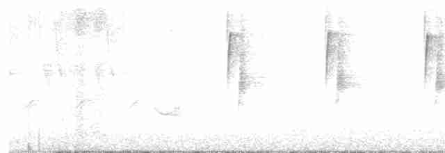 Küçük Boreal Sinekkapan - ML619123605