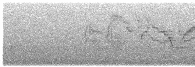Пестрогорлый соловьиный дрозд - ML619123633