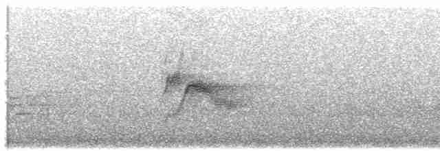 Пестрогорлый соловьиный дрозд - ML619123634