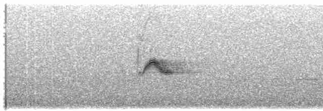 Bicknell Bülbül Ardıcı - ML619123635