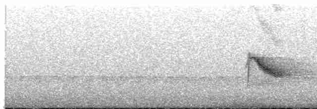 Пестрогорлый соловьиный дрозд - ML619123636