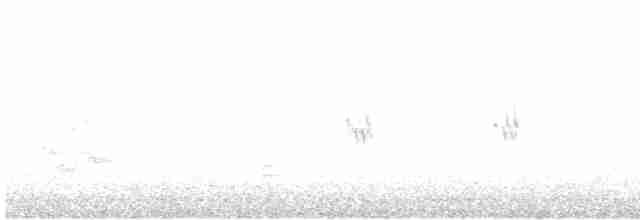 סנונית רפתות - ML619124049