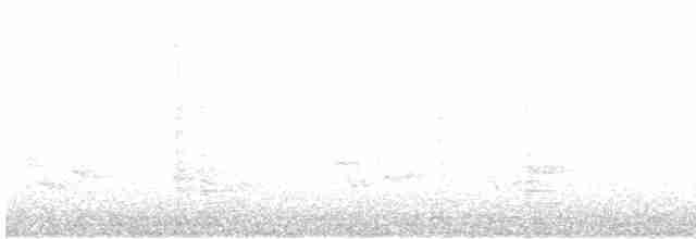 Hirondelle bicolore - ML619124052