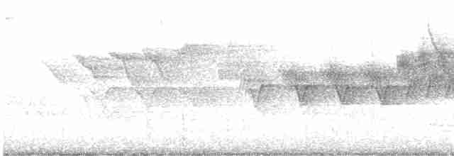 Cerulean Warbler - ML619124332