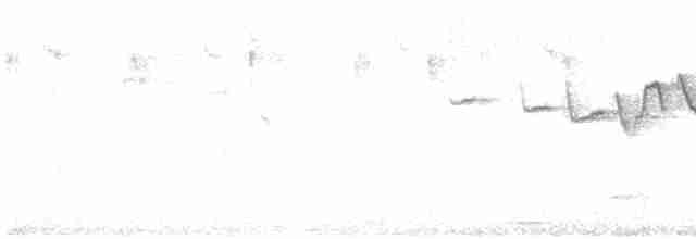 kortklotrekryper - ML619124352