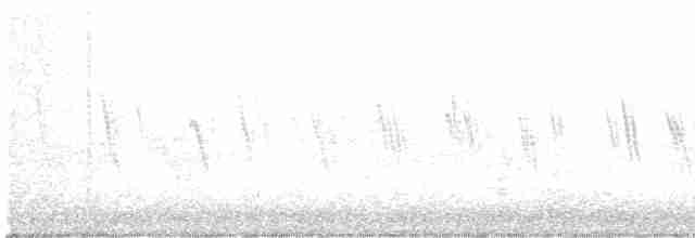 Білозорка фіолетова - ML619124584
