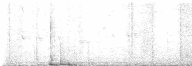 Дроздовый певун - ML619124653
