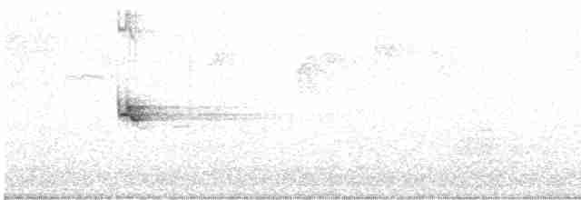 Королаз плямистобокий [група leucophaea] - ML619124667