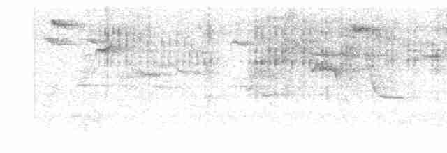 drozd brávník - ML619124703