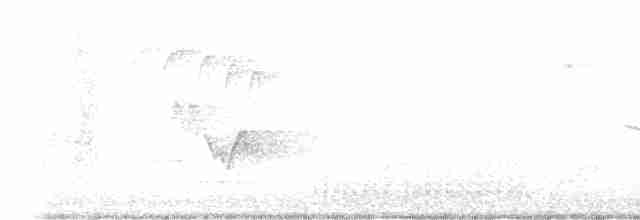 Tennessee Warbler - ML619126087