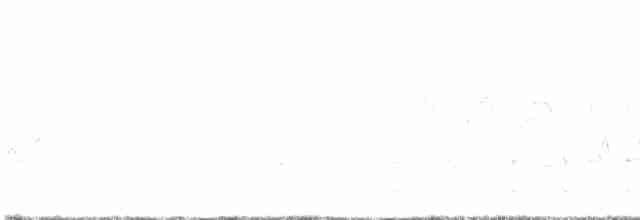 חרטומית ביצות - ML619126095