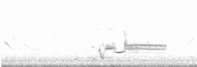 vlhovec červenokřídlý - ML619126104