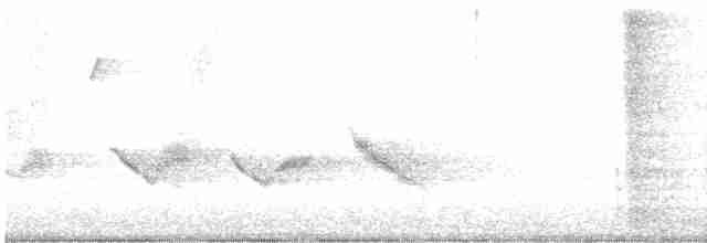 Kara Kanatlı Piranga - ML619126111