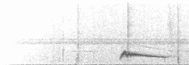 Augennachtschwalbe - ML619126137