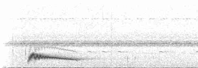 Augennachtschwalbe - ML619126145