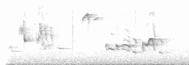 Пересмішник сірий - ML619126152