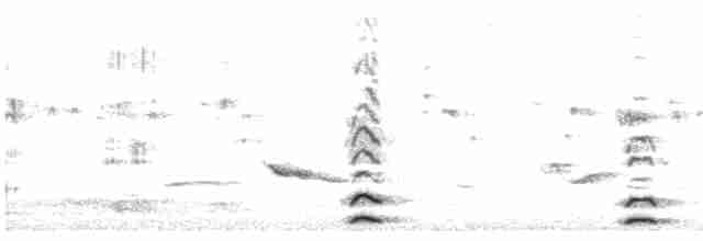Гагара полярна - ML619126238