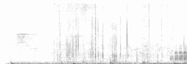 strakapoud osikový (ssp. pubescens/medianus) - ML619126411