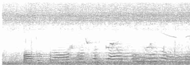 White-throated Kingfisher - ML619126577