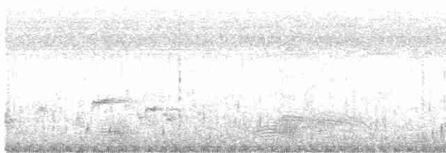 Aigrette à gorge blanche - ML619126592