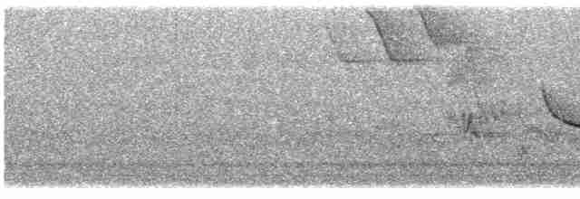 Oriole des vergers - ML619126771