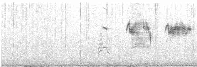 Трав’янка лучна - ML619126806