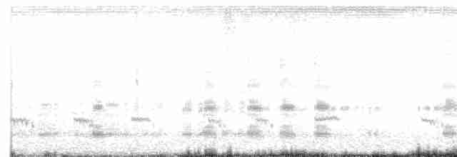 חרטומית בנגלית - ML619126964