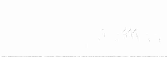 Дроздовидная камышевка - ML619127152
