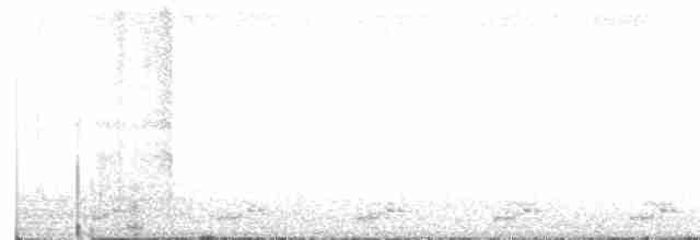 White-breasted Waterhen - ML619127237