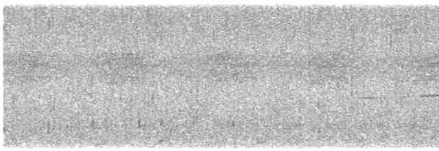 白斑紫嘯鶇 - ML619127338