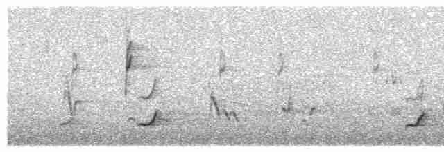 Дрізд-короткодзьоб Cвенсона - ML619127590