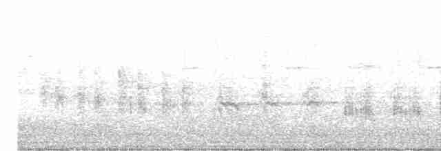 Great Reed Warbler - ML619127709