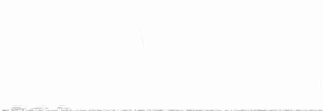 Great Reed Warbler - ML619127903