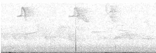 Spotted Flycatcher - ML619128015
