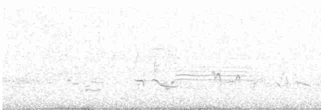 גיבתונית רוננת - ML619128111