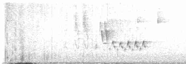 Black-throated Gray Warbler - ML619128541